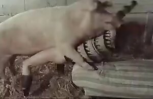 Quan hệ tình dục lợn với một con chó ngoan ngoãn